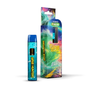 Baja Blast: 2G Disposable
