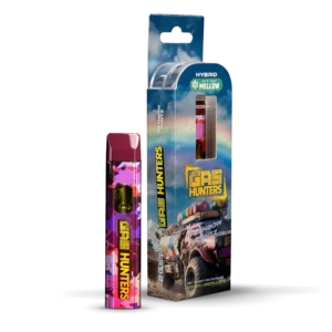 Gas Hunters Rainbow Runtz: 2G Disposable